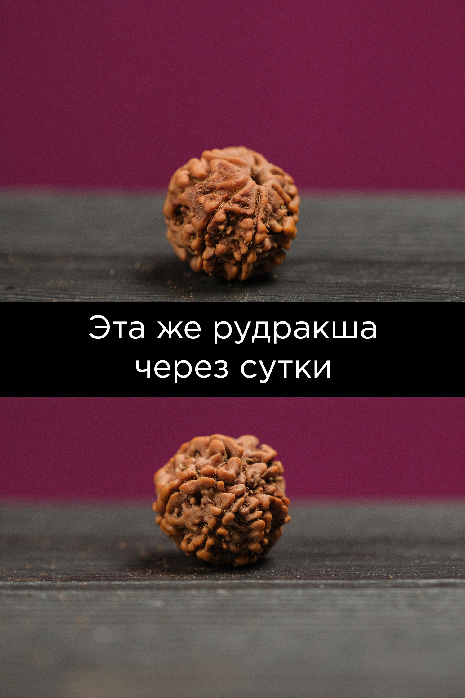 Рудракша натуральная неочищенная (в кожуре)