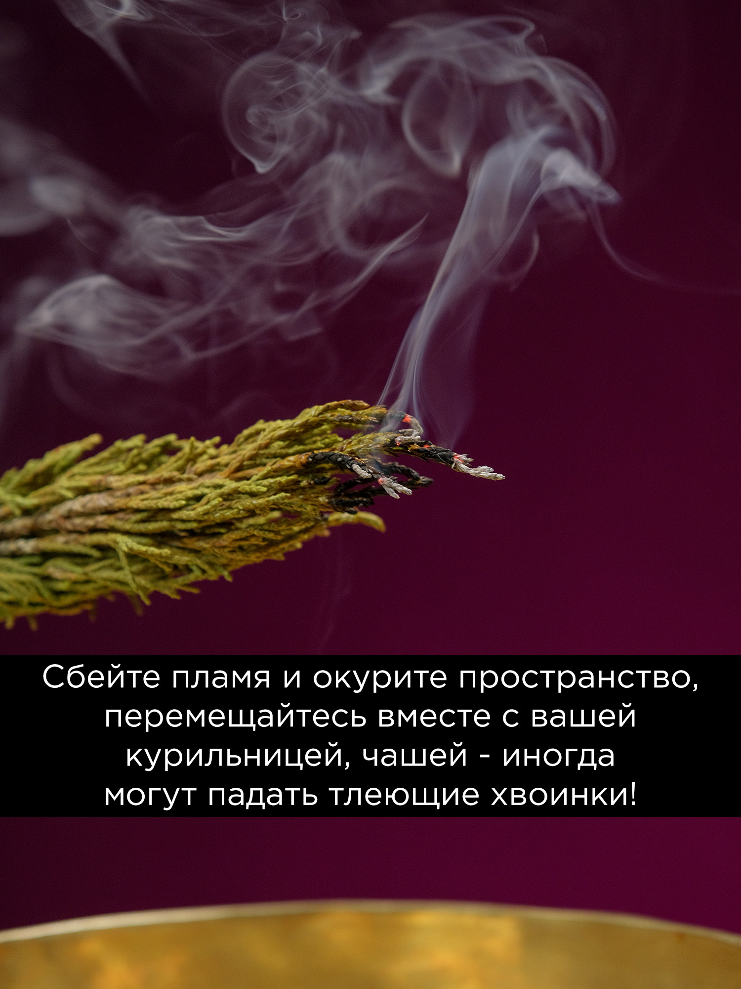 Артыш тувинский (высокогорный можжевельник)