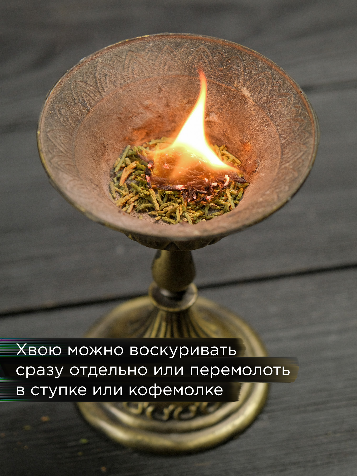 Артыш тувинский (высокогорный можжевельник)